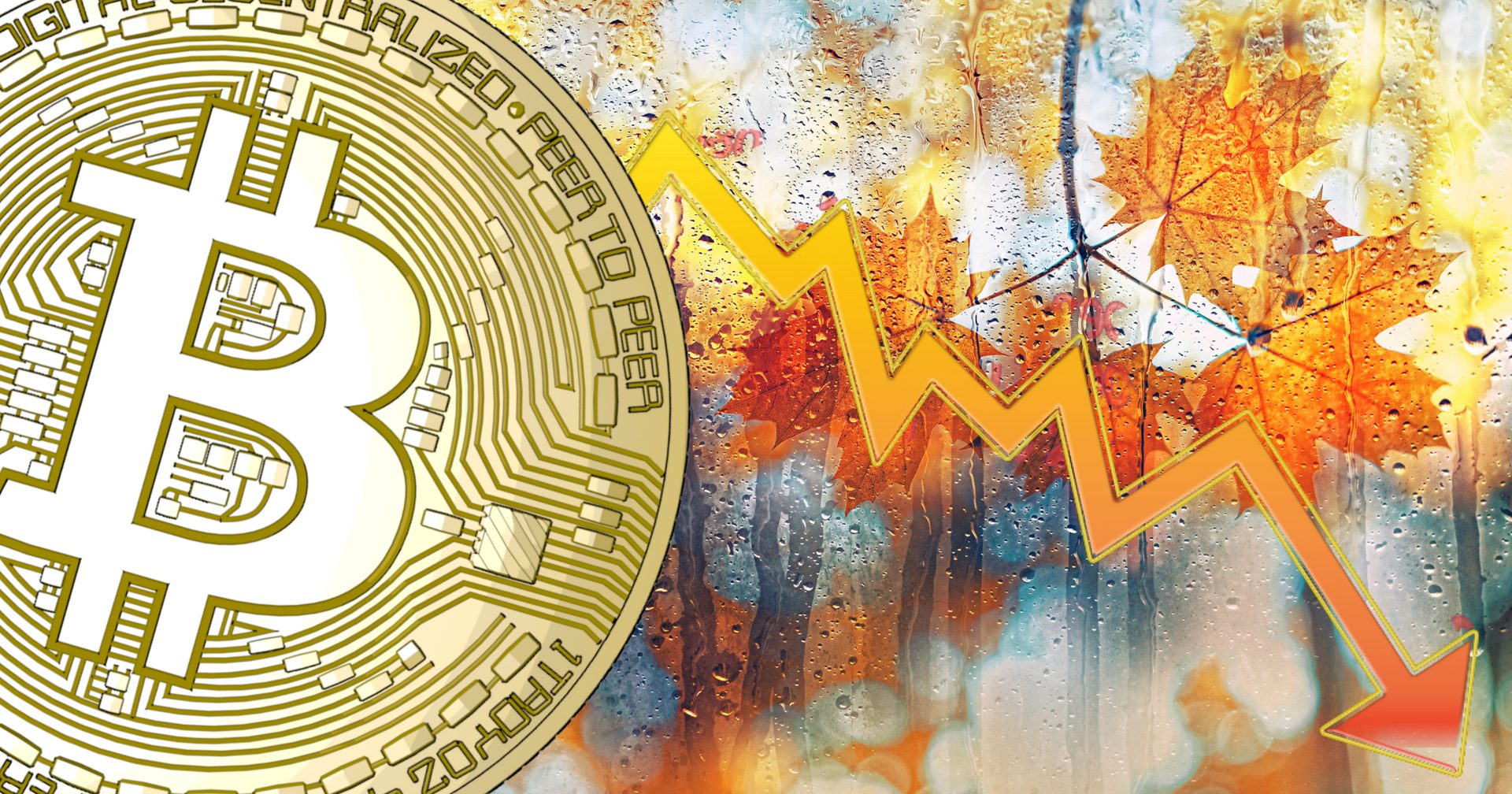 加密货币市场下跌：“开始觉得即使在比特币价格上涨的情况下，我们也要经历秋天的天气”插图