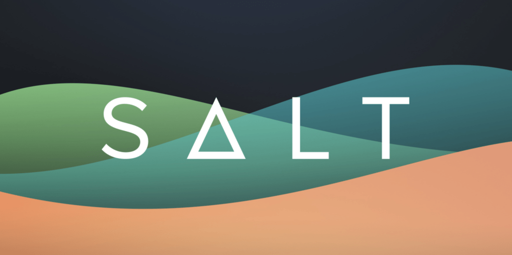 什么是盐？